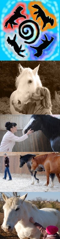 Développement personnel facilité par les chevaux - Formation à la communication non verbale - Monique Miserez